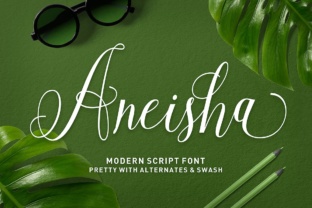 Aneisha Script Font for Modern Web Design and Stylish Branding