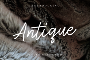 Antique Font for Modern Editorial Design