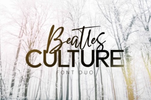 Beatles Culture Font: A Creative Typeface for Makers and Designers