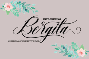 Bergita Font for Modern Branding and Design Projects