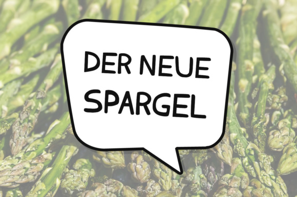 Der Neue Spargel Font for Creative Branding and Business Design