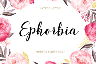 Ephorbia Font in Real-World Branding Projects