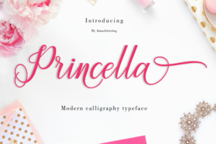 Princella Script Font for Small Business Branding