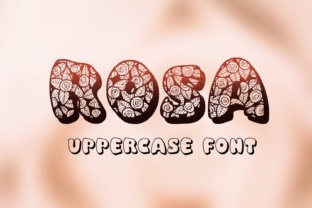 Rosa Font Adds Eccentric Flair to Brand Campaigns