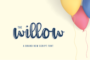 The Willow Script Font for a Polished Brand Look