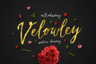 Velowley Font: A Script Handwritten Typeface for Polished Branding